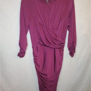 Tadashi Shoji Purple/Plum Ruched Formal  Dress